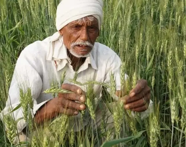 Innovative farming under the golden sunrise, advancing modern agriculture with care.