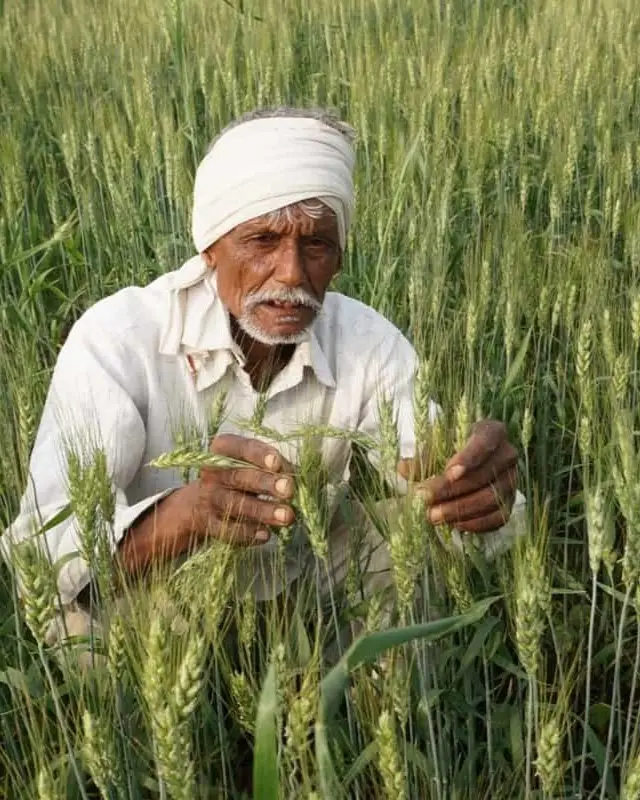 Innovative farming under the golden sunrise, advancing modern agriculture with care.