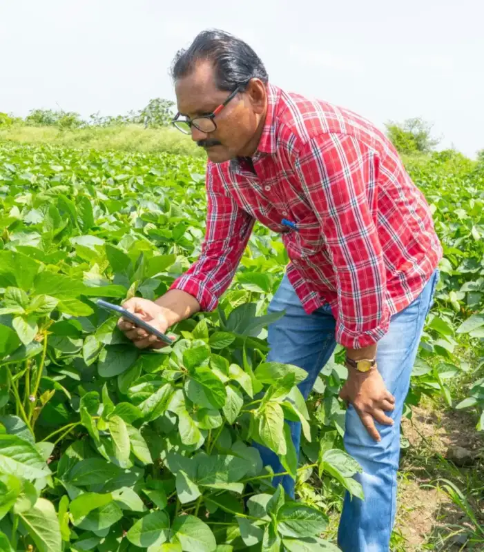 Dedicated farmers working together to bring fresh, high-quality produce from field to table.