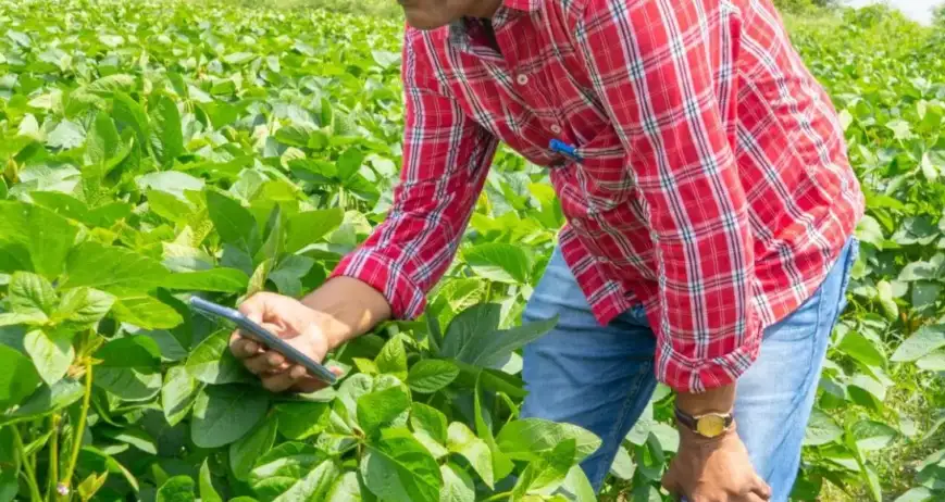 Dedicated farmers working together to bring fresh, high-quality produce from field to table.