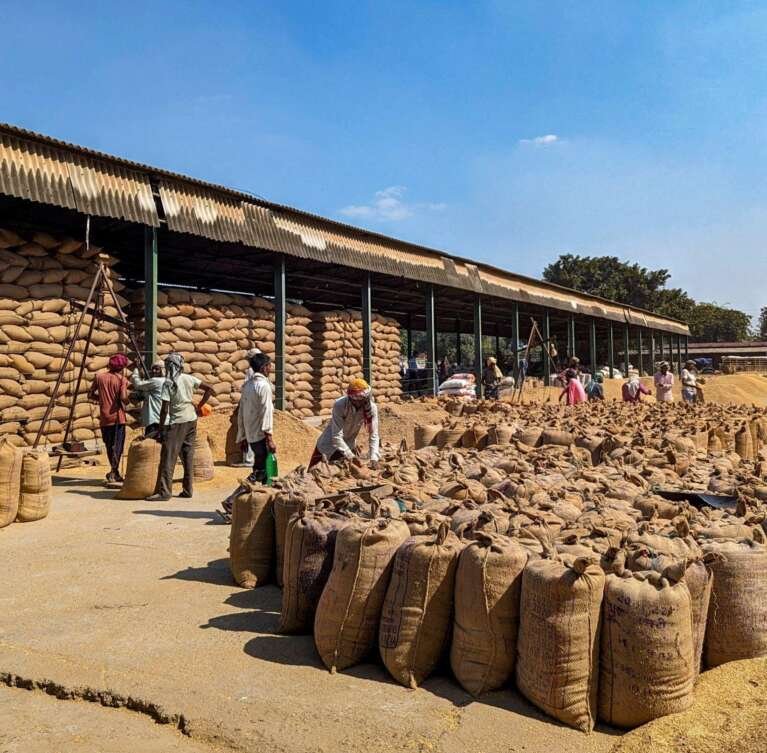 We source agricultural commodities through trusted farmers, aggregators and suppliers, focusing on quality, consistency and specifications that meet buyer requirements.