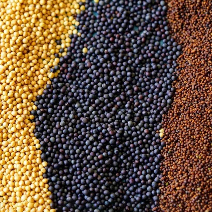 Mustard-5