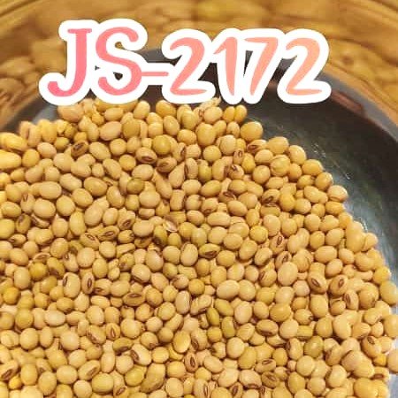 soy-3
